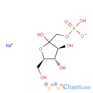 CAS No:103213-46-3 D-Fructofuranose,1-(dihydrogen phosphate), disodium salt (9CI)