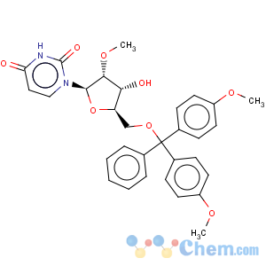 CAS No:103285-22-9 Uridine,5'-O-[bis(4-methoxyphenyl)phenylmethyl]-2'-O-methyl-