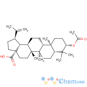 CAS No:10376-50-8 Lup-20(29)-en-28-oicacid, 3-(acetyloxy)-, (3b)-