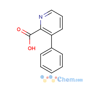 CAS No:103863-15-6 3-phenylpyridine-2-carboxylic acid
