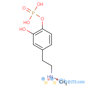 CAS No:103878-96-2 [2-hydroxy-4-[2-(methylamino)ethyl]phenyl] dihydrogen phosphate