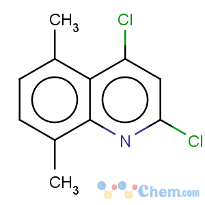 CAS No:104094-45-3 2,4-Dichloro-5,8-dimethyl-quinoline