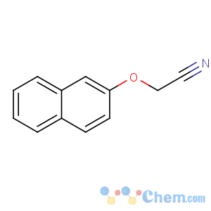 CAS No:104097-35-0 2-naphthalen-2-yloxyacetonitrile