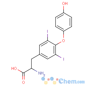 CAS No:1041-01-6 (2S)-2-amino-3-[4-(4-hydroxyphenoxy)-3,5-diiodophenyl]propanoic acid