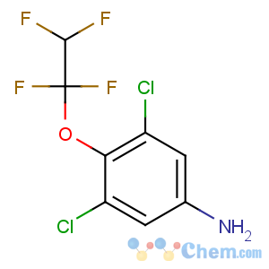 CAS No:104147-32-2 3,5-dichloro-4-(1,1,2,2-tetrafluoroethoxy)aniline
