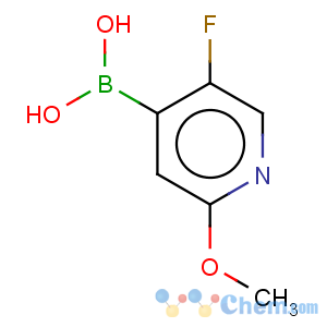 CAS No:1043869-98-2 Boronic acid, B-(5-fluoro-2-methoxy-4-pyridinyl)-