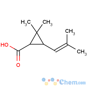 CAS No:10453-89-1 2,2-dimethyl-3-(2-methylprop-1-enyl)cyclopropane-1-carboxylic acid