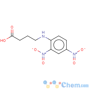 CAS No:10466-75-8 Butanoic acid,4-[(2,4-dinitrophenyl)amino]-