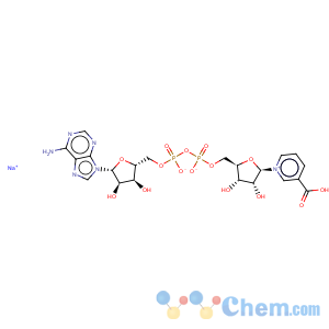 CAS No:104809-30-5 Adenosine5'-(trihydrogen diphosphate), P'®