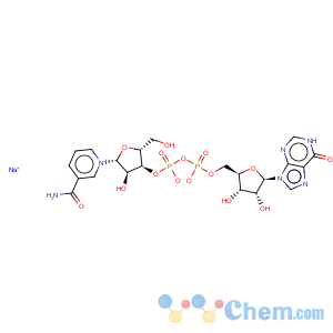 CAS No:104809-38-3 Inosine 5'-(trihydrogendiphosphate), P'®
