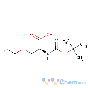 CAS No:104839-00-1 L-Serine,N-[(1,1-dimethylethoxy)carbonyl]-O-ethyl-
