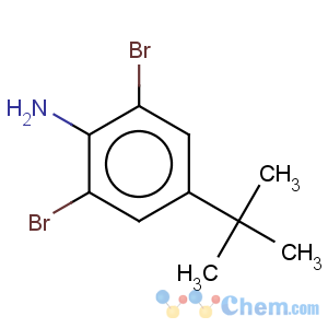 CAS No:10546-67-5 Benzenamine,2,6-dibromo-4-(1,1-dimethylethyl)-