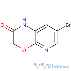 CAS No:105544-36-3 7-bromo-1H-pyrido[2,3-b][1,4]oxazin-2-one