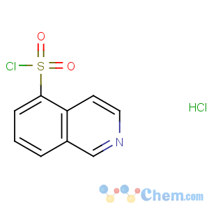 CAS No:105627-79-0 isoquinoline-5-sulfonyl chloride