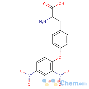 CAS No:10567-73-4 2-amino-3-[4-(2,4-dinitrophenoxy)phenyl]propanoic acid