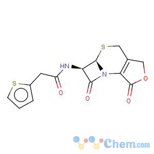 CAS No:10590-10-0 2-Thiopheneacetamide,N-[(5aR,6R)-1,4,5a,6-tetrahydro-1,7-dioxo-3H,7H-azeto[2,1-b]furo[3,4-d][1,3]thiazin-6-yl]-