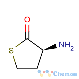 CAS No:10593-85-8 2(3H)-Thiophenone,3-aminodihydro-