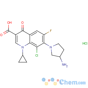 CAS No:105956-99-8 7-(3-aminopyrrolidin-1-yl)-8-chloro-1-cyclopropyl-6-fluoro-4-<br />oxoquinoline-3-carboxylic acid