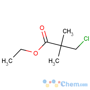 CAS No:106315-37-1 ethyl 3-chloro-2,2-dimethylpropanoate
