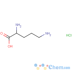 CAS No:1069-31-4 2,5-diaminopentanoic acid