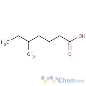 CAS No:1070-68-4 Heptanoicacid, 5-methyl-