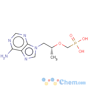 CAS No:107021-12-5 Phosphonic acid,P-[[2-(6-amino-9H-purin-9-yl)-1-methylethoxy]methyl]-