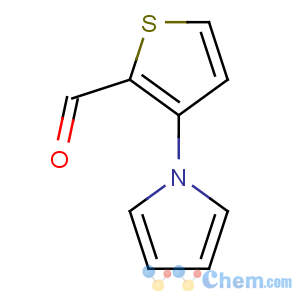 CAS No:107073-28-9 3-pyrrol-1-ylthiophene-2-carbaldehyde