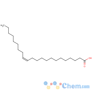CAS No:1072-39-5 13-Docosenoic acid