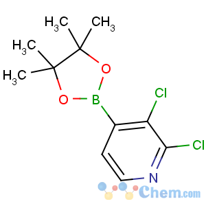 CAS No:1073353-78-2 2,3-dichloro-4-(4,4,5,5-tetramethyl-1,3,2-dioxaborolan-2-yl)pyridine