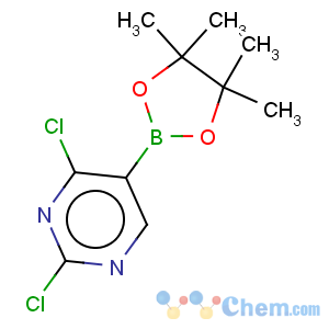 CAS No:1073354-24-1 2,4-dichloro-5-(4,4,5,5-tetramethyl-1,3,2-dioxaborolan-2-yl)pyrimidine