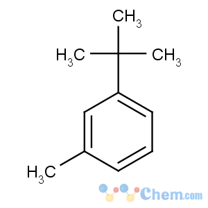 CAS No:1075-38-3 1-tert-butyl-3-methylbenzene