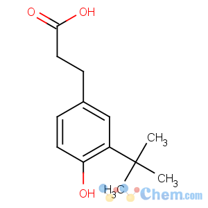 CAS No:107551-67-7 3-(3-tert-butyl-4-hydroxyphenyl)propanoic acid