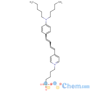 CAS No:107610-19-5 4-[4-[(1E,3E)-4-[4-(dipentylamino)phenyl]buta-1,<br />3-dienyl]pyridin-1-ium-1-yl]butane-1-sulfonate