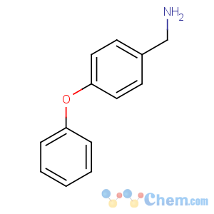 CAS No:107622-80-0 (4-phenoxyphenyl)methanamine