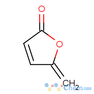 CAS No:108-28-1 5-methylidenefuran-2-one