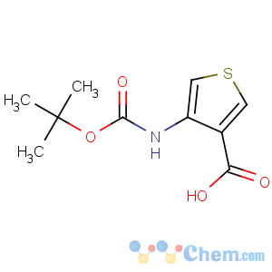 CAS No:108180-63-8 4-[(2-methylpropan-2-yl)oxycarbonylamino]thiophene-3-carboxylic acid