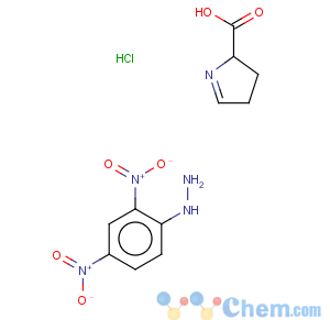 CAS No:108321-37-5 DL-DELTA-PYRROLINE-5-CARBOXYLIC ACID*2,4 -DINITROPHE