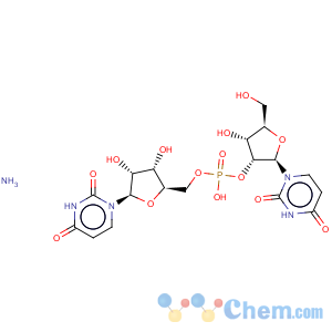 CAS No:108321-54-6 Uridine, uridylyl-(2'®