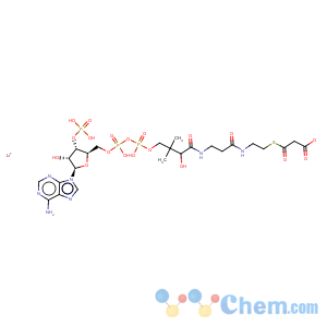 CAS No:108347-84-8 Coenzyme A, S-(hydrogenpropanedioate), lithium salt (9CI)
