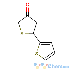 CAS No:108372-48-1 5-thiophen-2-ylthiolan-3-one