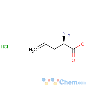 CAS No:108412-04-0 D-Allylglycine hydrochloride