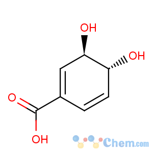 CAS No:108646-25-9 1,5-Cyclohexadiene-1-carboxylicacid, 3,4-dihydroxy-, (3R,4R)-