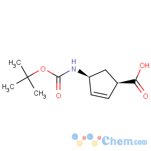 CAS No:108999-93-5 (1R,4S)-N-Boc-1-aminocyclopent-2-ene-4-carboxylic acid