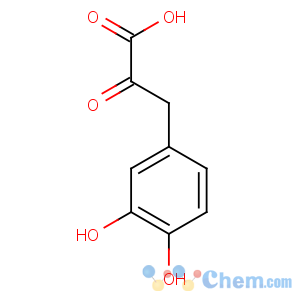 CAS No:109170-71-0 3-(3,4-dihydroxyphenyl)-2-oxopropanoic acid