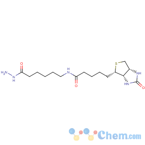 CAS No:109276-34-8 Hexanoic acid,6-[[5-[(3aS,4S,6aR)-hexahydro-2-oxo-1H-thieno[3,4-d]imidazol-4-yl]-1-oxopentyl]amino]-,hydrazide