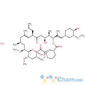 CAS No:109581-93-3 Tacrolimus monohydrate