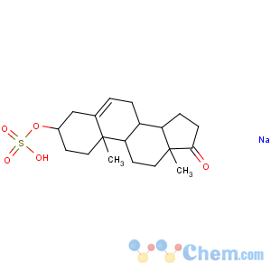 CAS No:1099-87-2 sodium prasteronesulfate