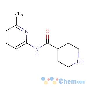 CAS No:110105-99-2 N-(6-methylpyridin-2-yl)piperidine-4-carboxamide