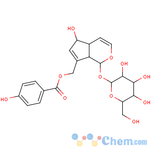 CAS No:11027-63-7 Agnuside