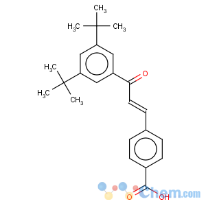 CAS No:110368-33-7 Benzoic acid,4-[(1E)-3-[3,5-bis(1,1-dimethylethyl)phenyl]-3-oxo-1-propen-1-yl]-